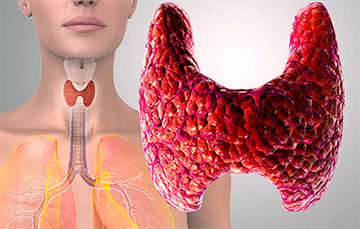 Эндокринология