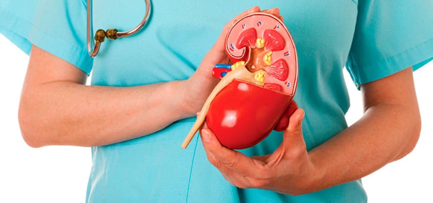 Нефрология - лечение почек