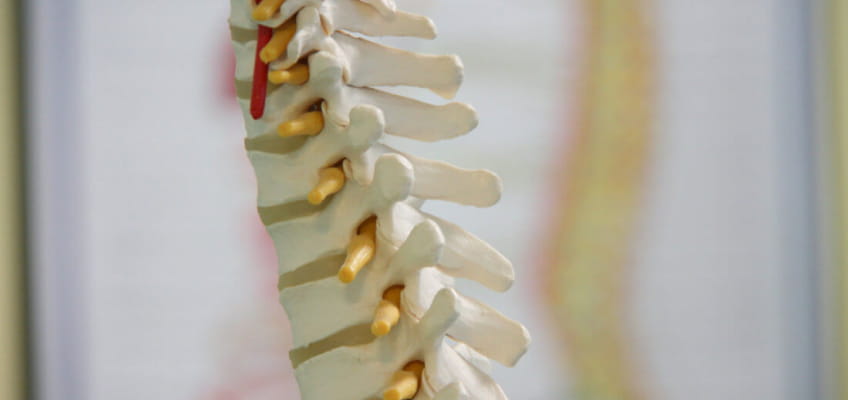 Заболевания в неврологии – болезни позвоночника