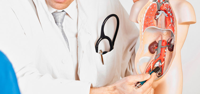 Урологические диагнозы у мужчин